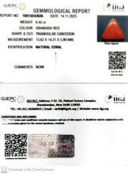 6.45/CT Natural Red Coral With Govt. Lab Certificate-10815D43656